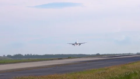 Slow motion. Plane landing Video stock 72318298