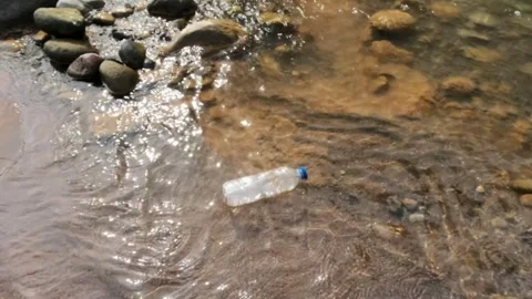 Slow motion of plastic bottle waste floating on the river bank Stock Footage 320977206