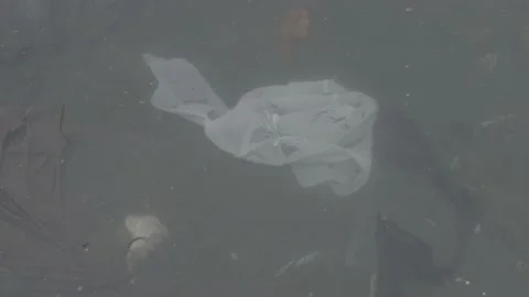 Slow Motion of Plastic Pollution in River Water Stock Footage 159135460