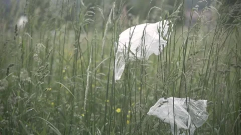 Slow motion. Plastic trash on the grass. Plastic bags lie on the grass and f Stock Footage 242091326