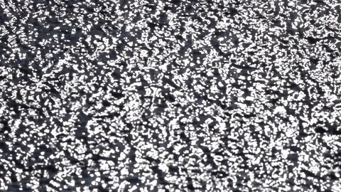 Slow motion of playing sun shine reflection on black water little ripple. Stock Footage 99145110