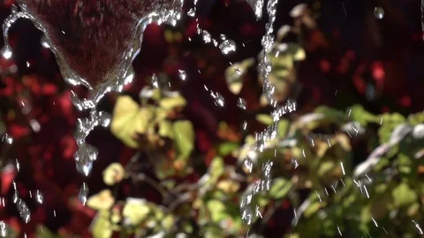 Slow motion of playing water on garden background with red defocused flowers. Stock Footage 100237828
