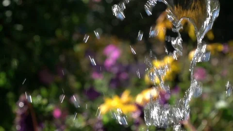 Slow motion of playing water on summer garden background Stock Footage 100237785