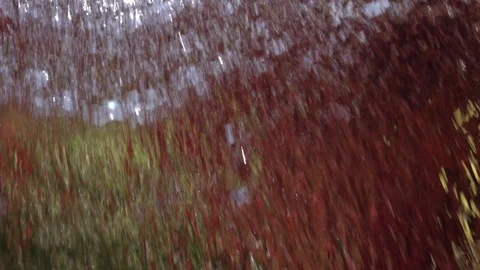 Slow motion of playing water on summer garden with red and pink colors. Stock Footage 100237941