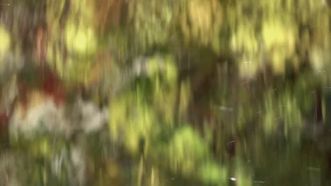 Slow motion of playing water on summer garden background with green colors. Stock Footage 100238086