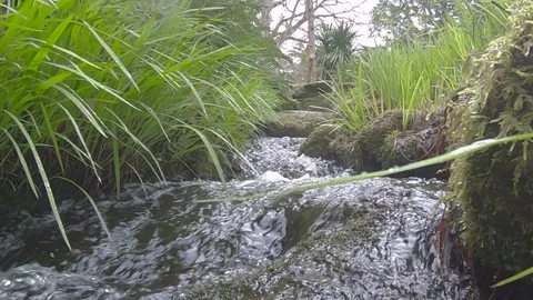Slow motion point of view flying over babbling brook towards watefall and Vídeos de archivo 116117625