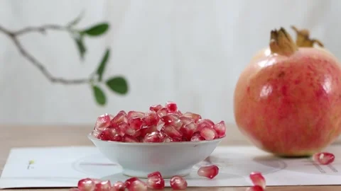 Slow Motion Pomegranate Seeds Falling into Bowl Still Life Stock Footage 341848815