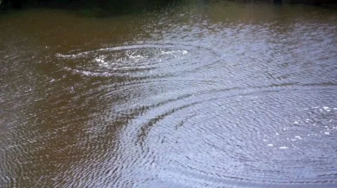 Slow motion pond ripples Stock Footage