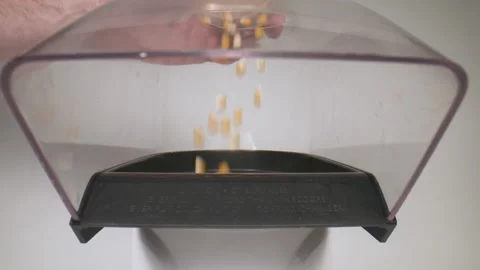 Slow motion of popcorn kernels being put in a popping machine. Stock Footage 130835484