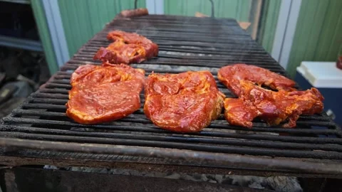 Slow Motion of Pork Neck in Red Sauce on the Grill in the Yard Stock Footage 346687183