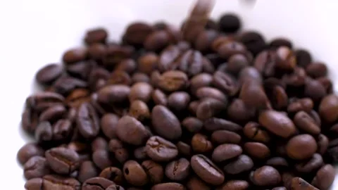 Slow motion  of pouring and dropping down of roasted coffee beans Vidéo 158998686