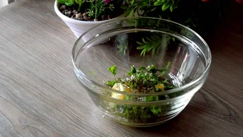 Slow motion of pouring chili flakes into the white glass bowl. 動画素材 149508338