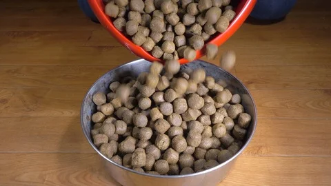Slow motion –  Pouring dog kibble from a bucket to a bowl. Stock Footage 129210508