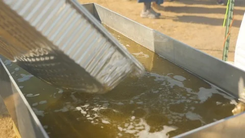 Slow motion pouring large amount of fries in fryer Stock Footage 94221151