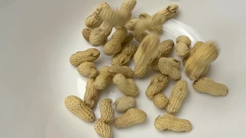 Slow-motion of pouring peanuts 動画素材 256696035