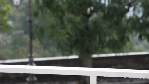 Slow motion of pouring rain with tree in the background Stock Footage 94938526