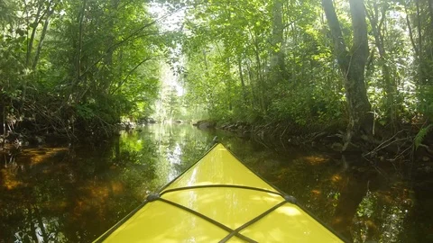 Slow motion pov view of paddling on small river with green trees surrounding Stock Footage 117719702