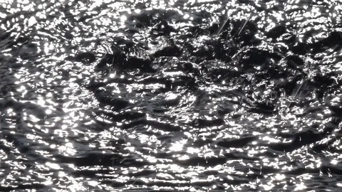 Slow motion of powerful dripping on black water surface in sun shine reflection. Vidéo 99142737