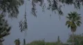 Slow motion powerful multiple lightning strikes behind trees HD Footage