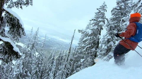 Slow motion of pro skier doing backflip on steep snowy hill in forest, Canada Stock Footage 129096083