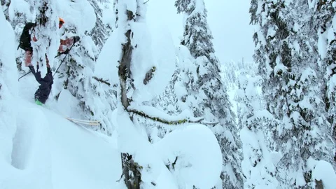 Slow motion of pro skier jumping through snowy branches in forest, Canada Stock Footage 129095566