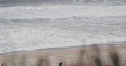 Slow motion of professional surfer getting off broad ocean water with surfboard Stock Footage 160529170