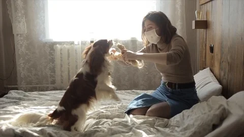 Slow motion of a protective masked young girl with her playing puppy at home Stock Footage 127351021