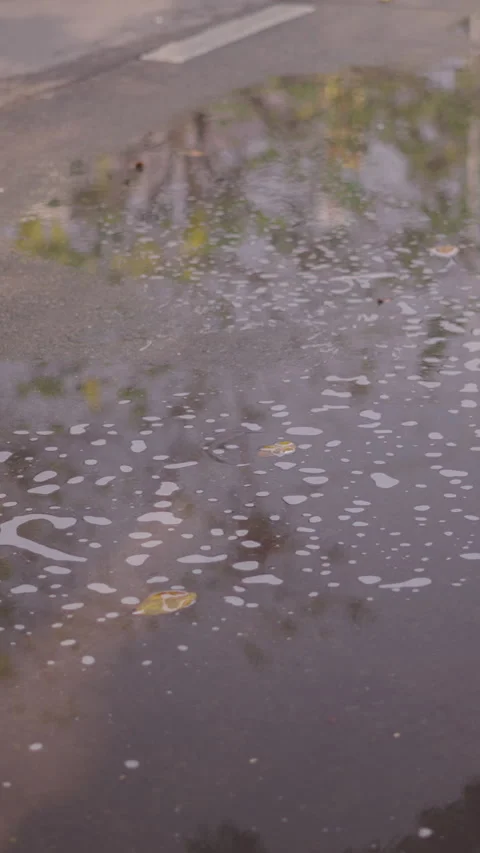 Slow motion of a puddle of dirty water next to the sidewalk on a busy paved Stock Footage 279277174