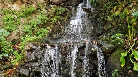 Slow motion of pure natural waterfall. Water falls down from the rock in the  動画素材 219620309