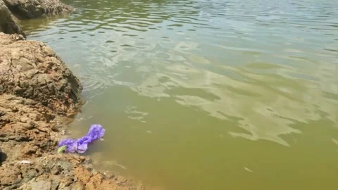Slow motion of a purple plastic bag in a lake Stock Footage 323149253