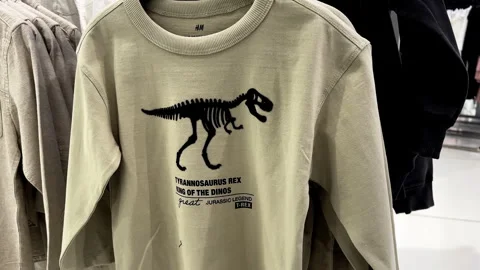 Slow Motion Push-In on a T-Rex Dinosaur Print on Beige Sweatshirt Stock Footage 309894989