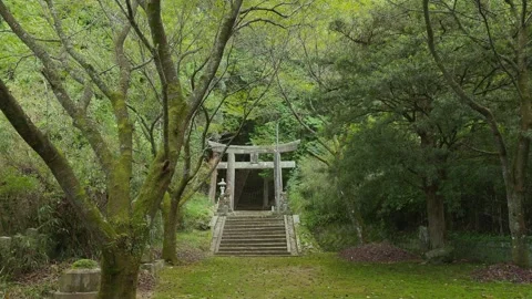 Slow Motion Push towards Torii Gate through Green Shrine Forest Stock-Footage 347011246