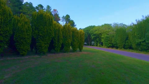 Slow motion quiet asphalt road through green park trees Stock Footage 340438037