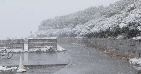Slow motion quiet snowy path near the beach in Japan Video stock 348212076