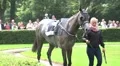 Slow motion Racing horse looking to the camera while presentation HD Footage