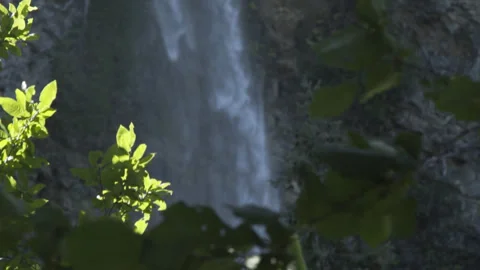 Slow Motion Rack Focus From Foreground Leaves to Multnomah Falls Oregon Tilt Up Stock Footage 336267352