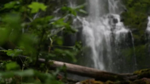Slow Motion Rack Focus of Lower Proxy Falls Oregon Stock Footage 144413278