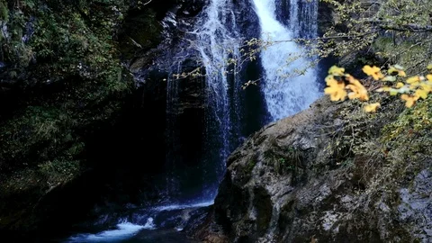 Slow motion of Radovna river flows in Vintgar Gorge Stock Footage 119333013