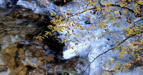 Slow motion of Radovna river flows in Vintgar Gorge Stock Footage 119333416