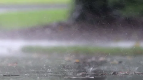 Slow Motion Rain Background Stock Footage 157242818