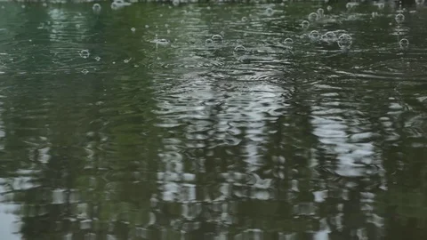 Slow Motion Rain Bubbles Stock Footage 70838652