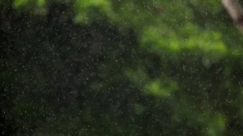 Slow Motion Rain Closeup Long Shot 库存影片 248532149