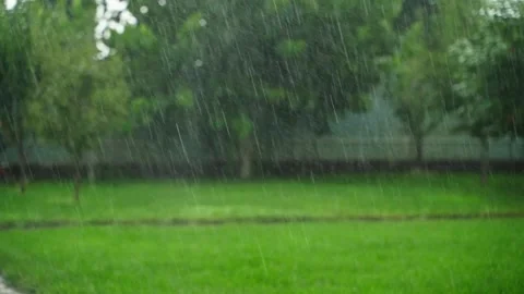 Slow motion of rain in the countryside. Background of autumn rainy day Stock Footage 315449264