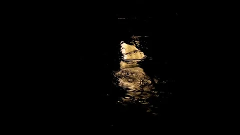Slow motion rain in the dark at night Video stock 292164161