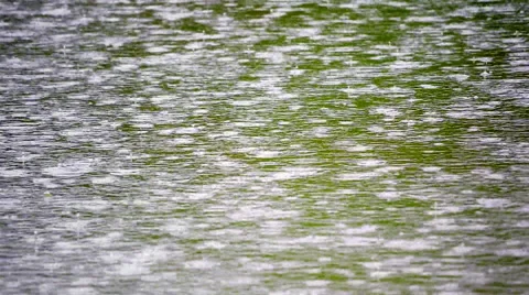 Slow motion of rain dropping on green water surface. Calm rings in pond Stock Footage 52769574