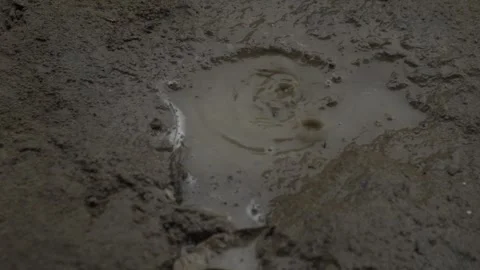 Slow Motion Rain Dropping from Palha Roof, Tabajaras Indigenous Village, Conde Stock Footage 320571297