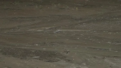 Slow Motion Rain Dropping from Palha Roof, Tabajaras Indigenous Village, Conde Stock Footage 320571328