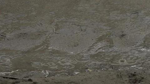 Slow Motion Rain Dropping from Palha Roof, Tabajaras Indigenous Village, Conde Stock Footage 320571341