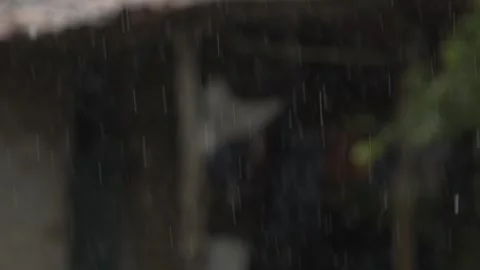 Slow Motion Rain Dropping from Palha Roof, Tabajaras Indigenous Village, Conde Stock Footage 320572187