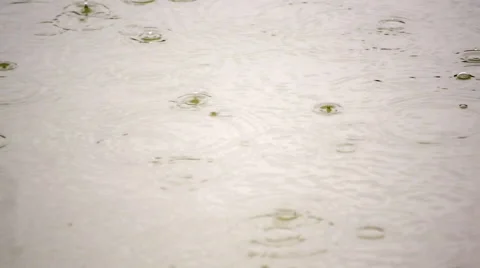 Slow motion of rain dropping on sepia water surface. Calm rings in the pond. Stock Footage 52770022